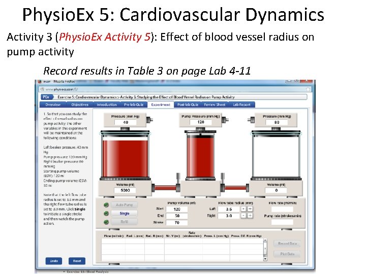 Physio. Ex 5: Cardiovascular Dynamics Activity 3 (Physio. Ex Activity 5): Effect of blood