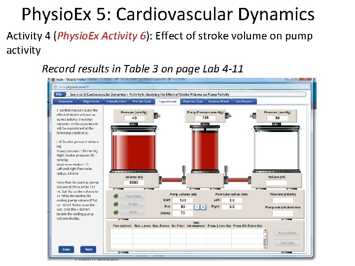 Physio. Ex 5: Cardiovascular Dynamics Activity 4 (Physio. Ex Activity 6): Effect of stroke