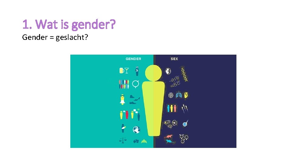 1. Wat is gender? Gender = geslacht? 