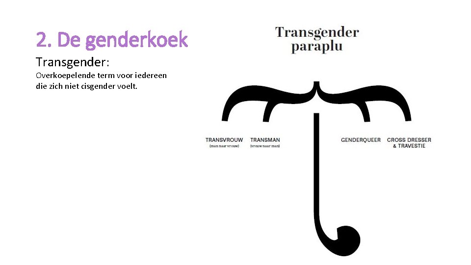 2. De genderkoek Transgender: Overkoepelende term voor iedereen die zich niet cisgender voelt. 