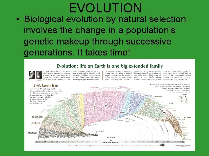 EVOLUTION • Biological evolution by natural selection involves the change in a population’s genetic