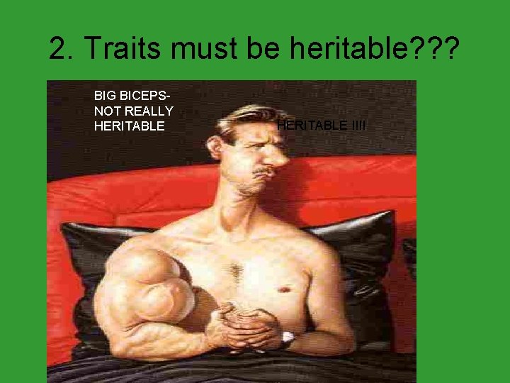 2. Traits must be heritable? ? ? BIG BICEPSNOT REALLY HERITABLE !!!! 