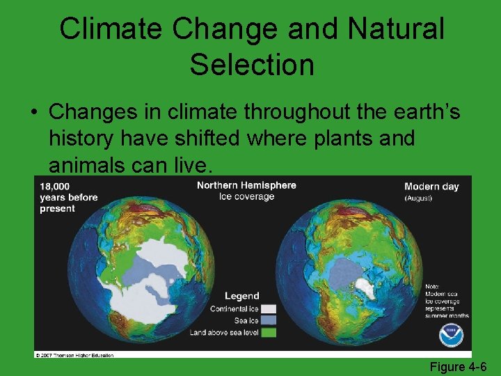 Climate Change and Natural Selection • Changes in climate throughout the earth’s history have
