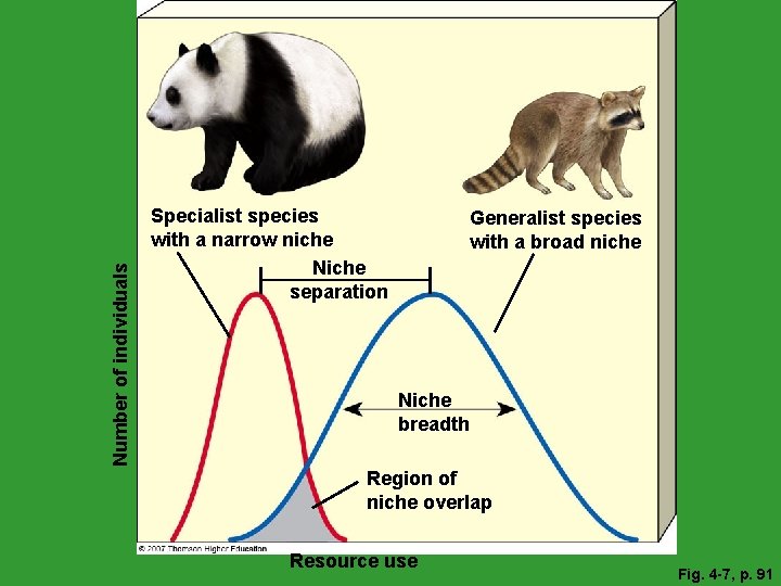 Number of individuals Specialist species with a narrow niche Niche separation Generalist species with