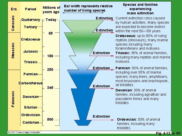 Cenozoic Era Period Millions of years ago Quaternary Today Tertiary 65 Mesozoic Cretaceous Jurassic