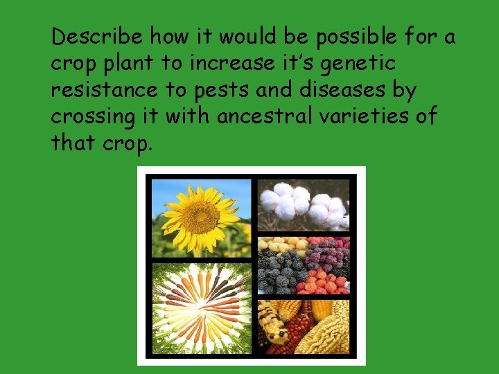 Describe how it would be possible for a crop plant to increase it’s genetic