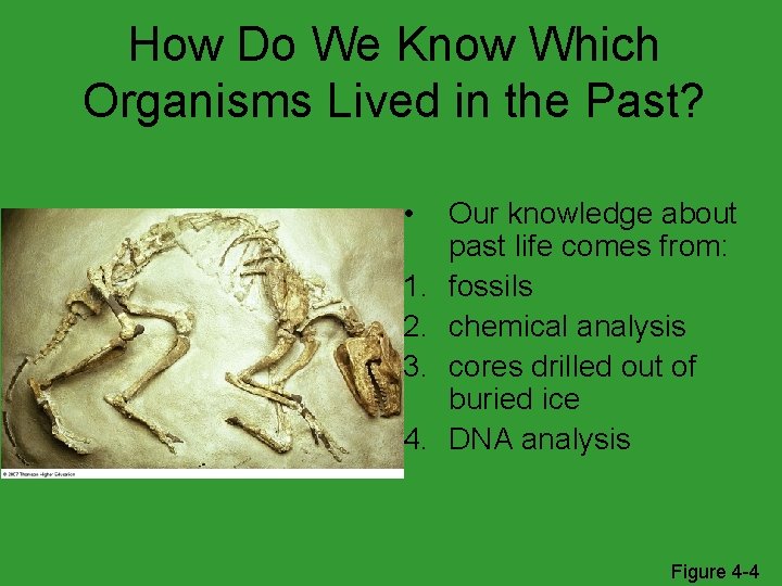 How Do We Know Which Organisms Lived in the Past? • 1. 2. 3.