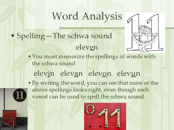 Word Analysis • Spelling—The schwa sound eleven • You must memorize the spellings of
