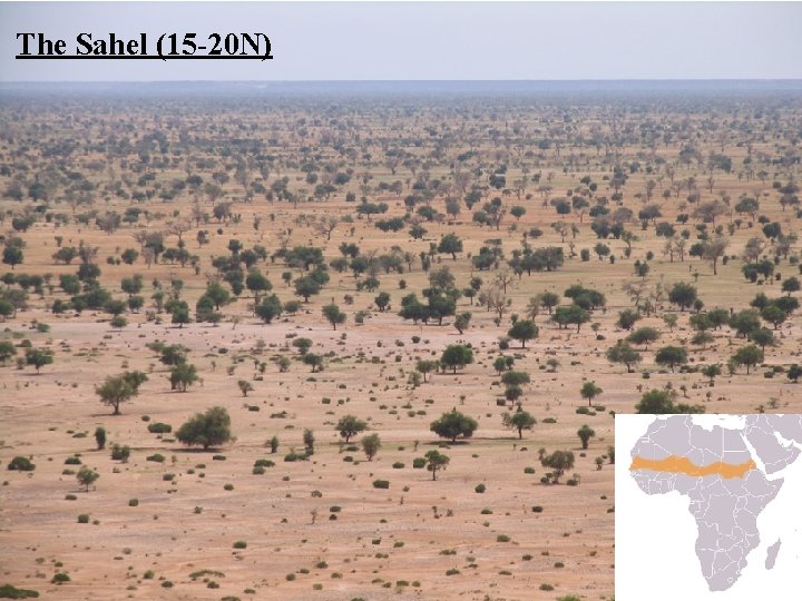  The Sahel (15 -20 N) 