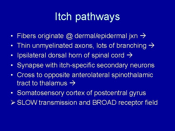 Itch pathways • • • Fibers originate @ dermal/epidermal jxn Thin unmyelinated axons, lots