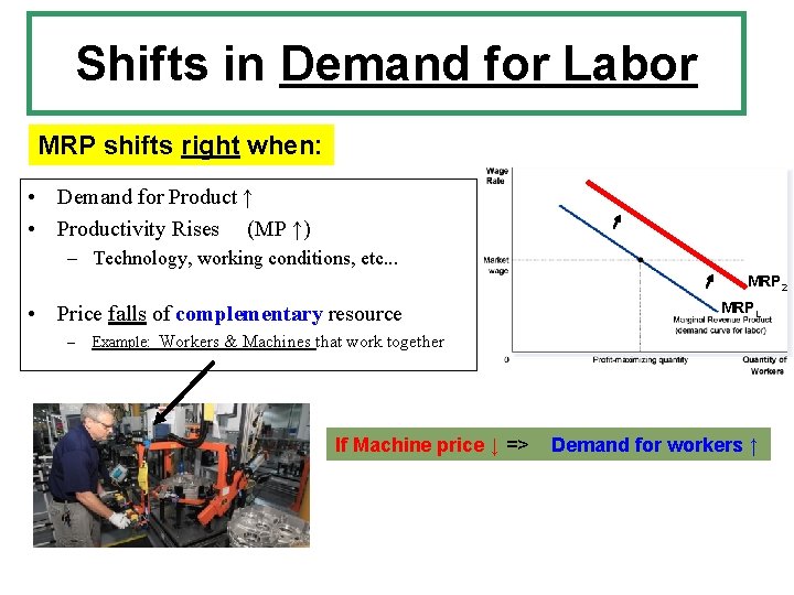 Shifts in Demand for Labor MRP shifts right when: • Demand for Product ↑ Shifts in Demand for Labor MRP shifts right when: • Demand for Product ↑