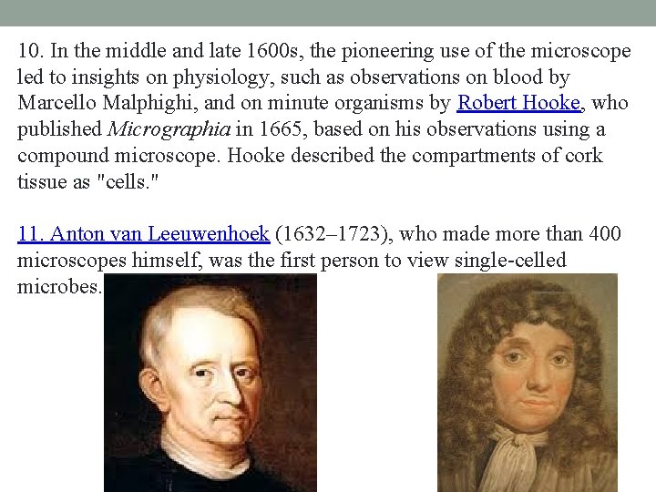 10. In the middle and late 1600 s, the pioneering use of the microscope