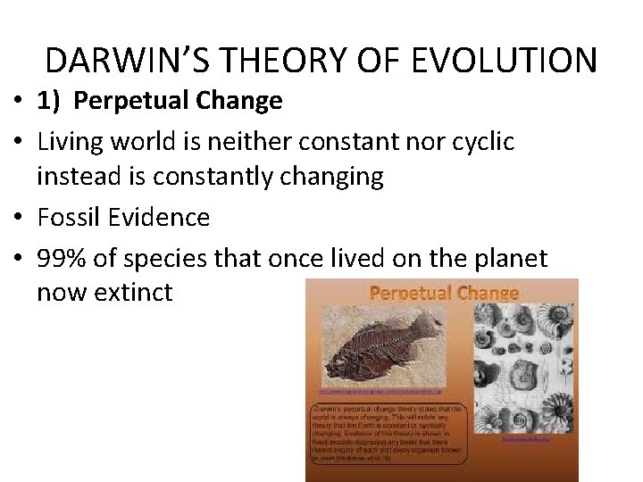 DARWIN’S THEORY OF EVOLUTION • 1) Perpetual Change • Living world is neither constant
