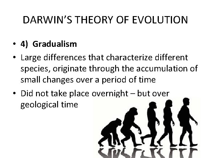 DARWIN’S THEORY OF EVOLUTION • 4) Gradualism • Large differences that characterize different species,