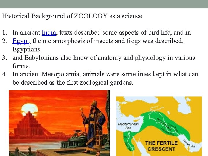 Historical Background of ZOOLOGY as a science 1. In ancient India, texts described some