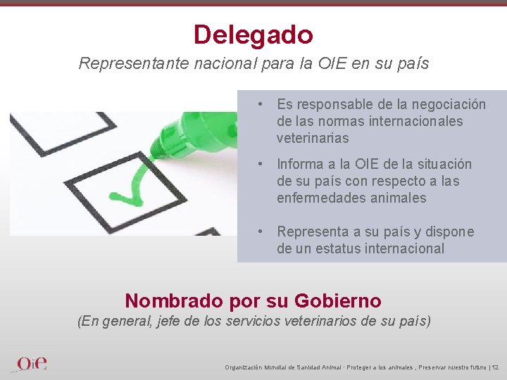 Delegado Representante nacional para la OIE en su país • Es responsable de la