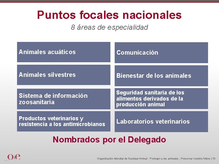 Puntos focales nacionales 8 áreas de especialidad Animales acuáticos Comunicación Animales silvestres Bienestar de