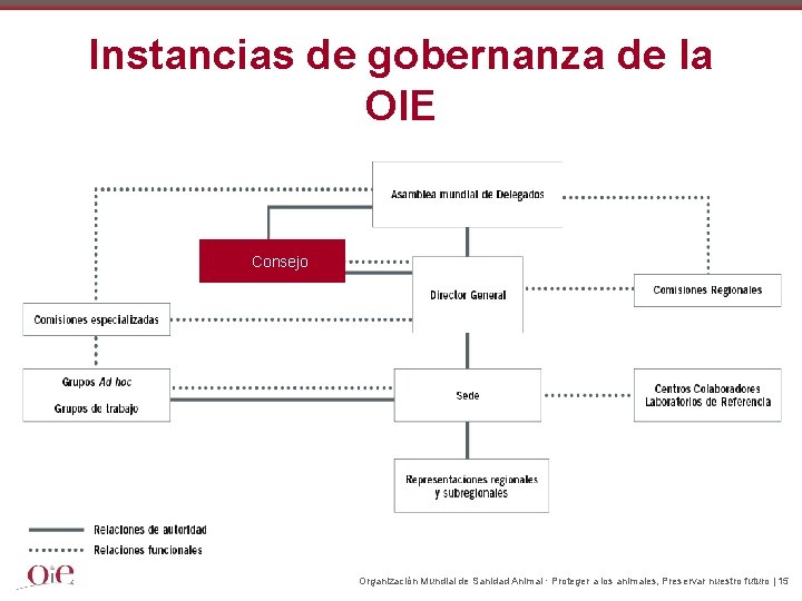 Instancias de gobernanza de la OIE Consejo Organización Mundial de Sanidad Animal · Proteger