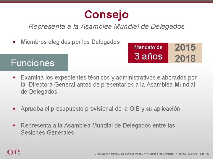 Consejo Representa a la Asamblea Mundial de Delegados § Miembros elegidos por los Delegados