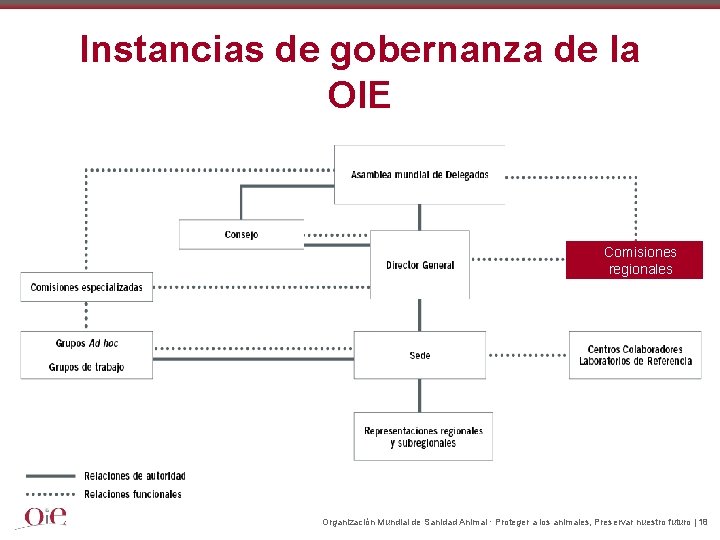 Instancias de gobernanza de la OIE Comisiones regionales Organización Mundial de Sanidad Animal ·