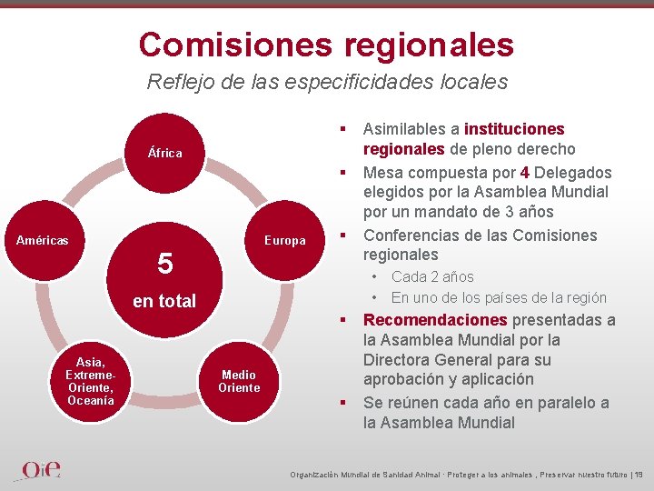 Comisiones regionales Reflejo de las especificidades locales § África § Américas Europa § 5