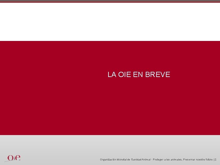 LA OIE EN BREVE Organización Mundial de Sanidad Animal · Proteger a los animales,