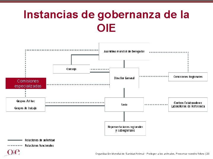 Instancias de gobernanza de la OIE Comisiones especializadas Organización Mundial de Sanidad Animal ·