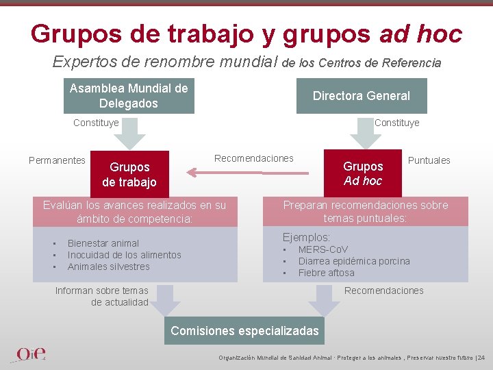 Grupos de trabajo y grupos ad hoc Expertos de renombre mundial de los Centros