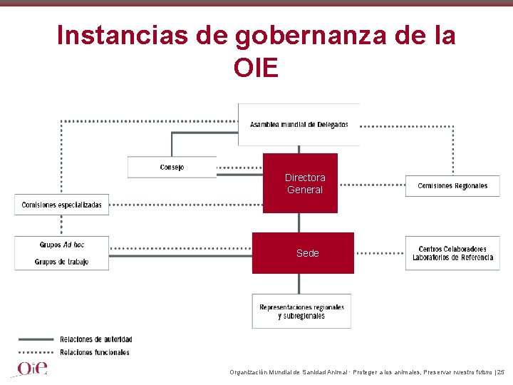 Instancias de gobernanza de la OIE Directora General Sede Organización Mundial de Sanidad Animal