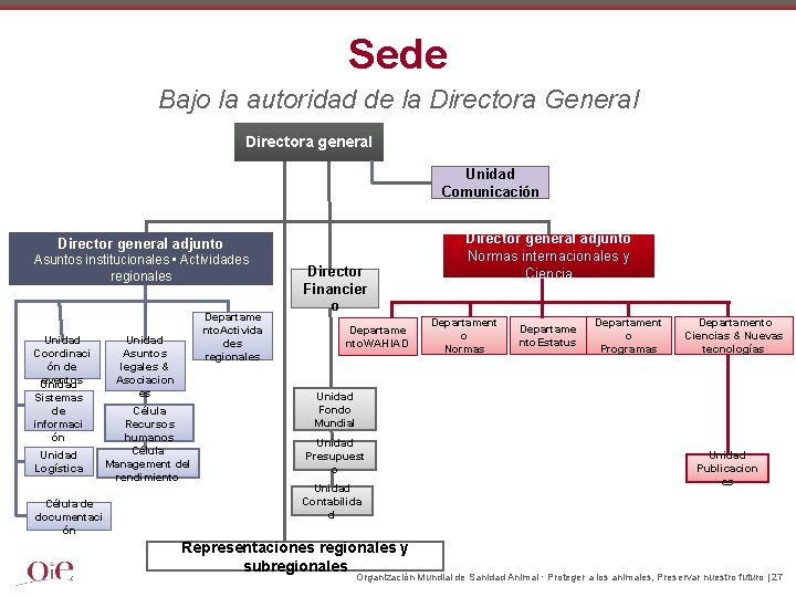 Sede Bajo la autoridad de la Directora General Directora general Unidad Comunicación Director general