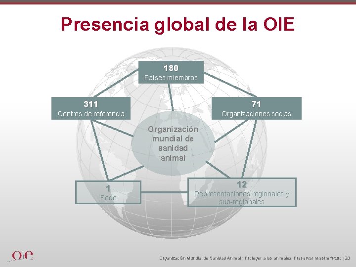 Presencia global de la OIE 180 Países miembros 311 71 Centros de referencia Organizaciones