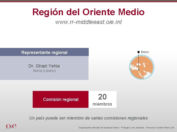 Región del Oriente Medio www. rr-middleeast. oie. int Representante regional Dr. Ghazi Yehia Beirut