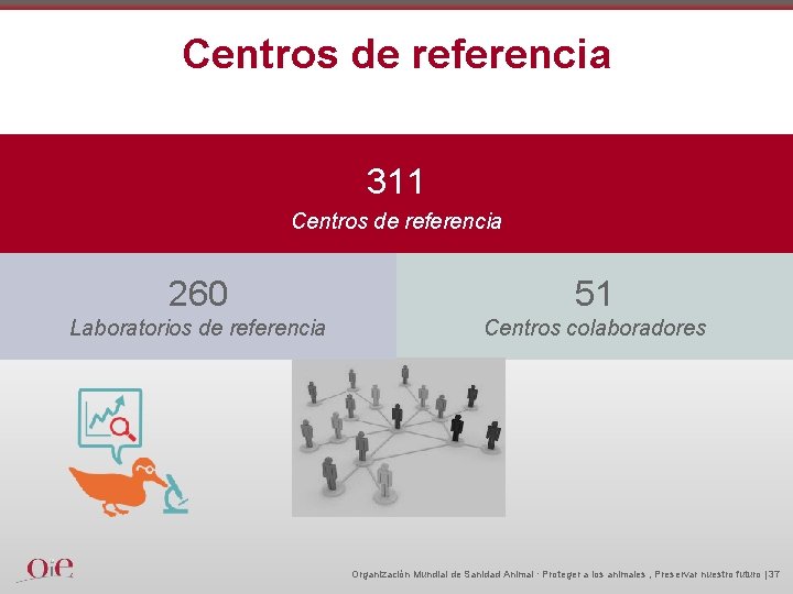 Centros de referencia 311 Centros de referencia 260 51 Laboratorios de referencia Centros colaboradores