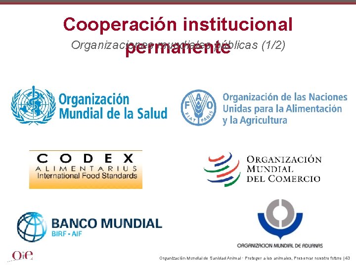 Cooperación institucional Organizaciones mundiales públicas (1/2) permanente Organización Mundial de Sanidad Animal · Proteger