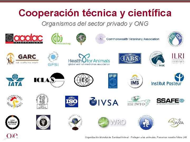Cooperación técnica y científica Organismos del sector privado y ONG Organización Mundial de Sanidad