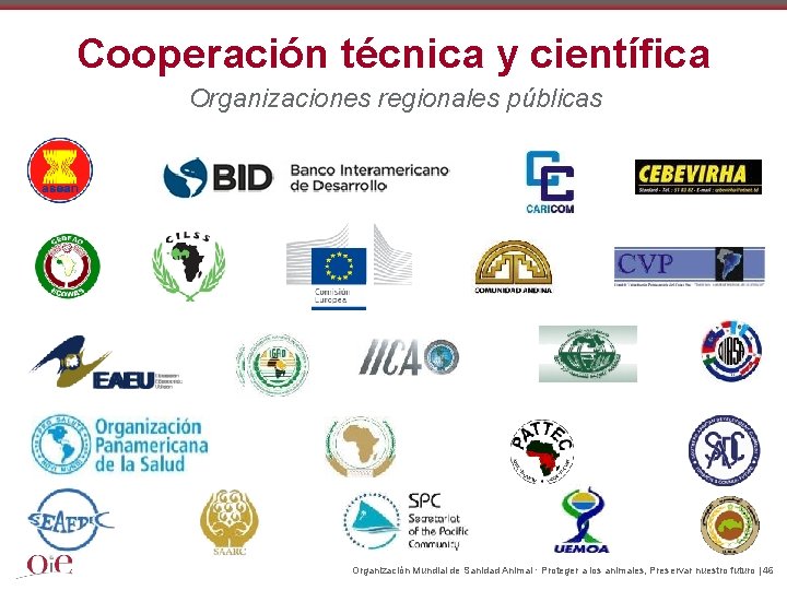 Cooperación técnica y científica Organizaciones regionales públicas Organización Mundial de Sanidad Animal · Proteger