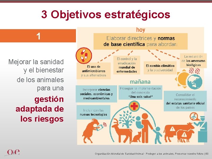 3 Objetivos estratégicos 1 Mejorar la sanidad y el bienestar de los animales para