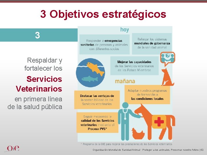 3 Objetivos estratégicos 3 Respaldar y fortalecer los Servicios Veterinarios en primera línea de