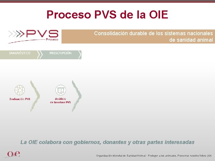 Proceso PVS de la OIE Consolidación durable de los sistemas nacionales de sanidad animal