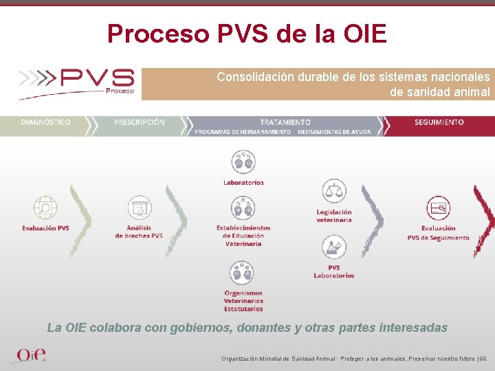 Proceso PVS de la OIE Consolidación durable de los sistemas nacionales de sanidad animal