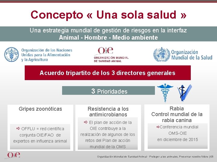 Concepto « Una sola salud » Una estrategia mundial de gestión de riesgos en