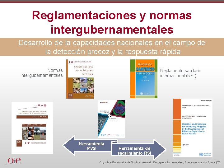 Reglamentaciones y normas intergubernamentales Desarrollo de la capacidades nacionales en el campo de la