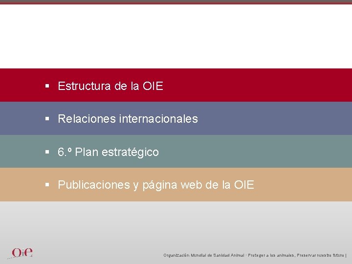 § Estructura de la OIE § Relaciones internacionales § 6. º Plan estratégico §