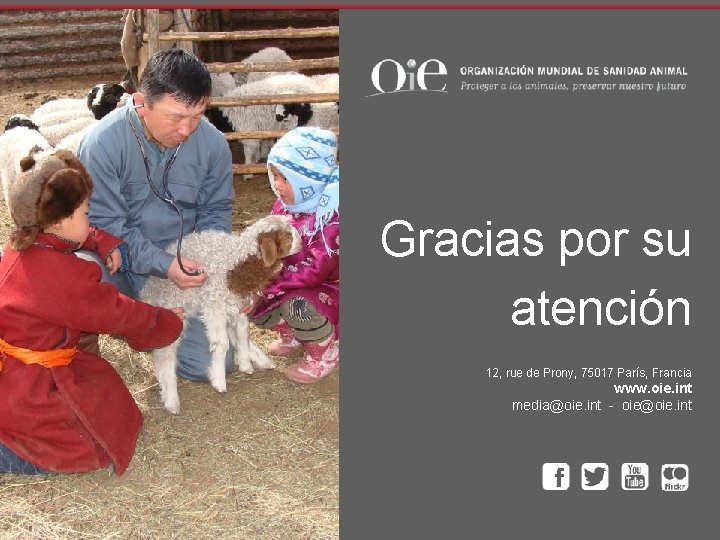 Gracias por su atención 12, rue de Prony, 75017 París, Francia www. oie. int