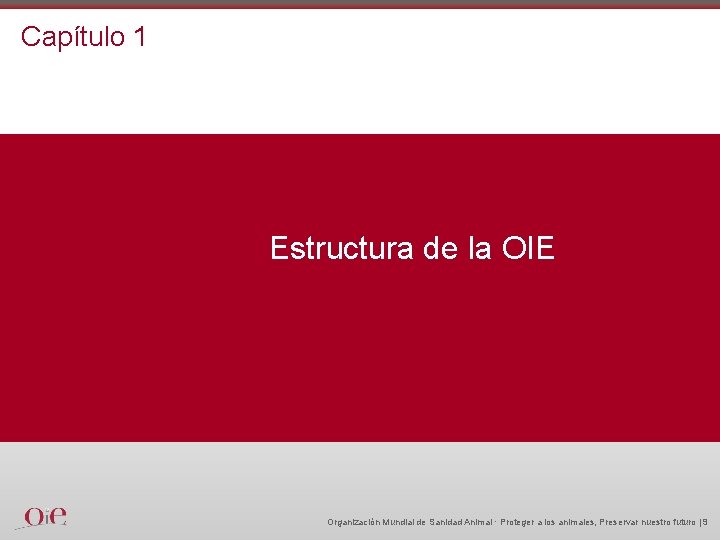 Capítulo 1 Estructura de la OIE Organización Mundial de Sanidad Animal · Proteger a