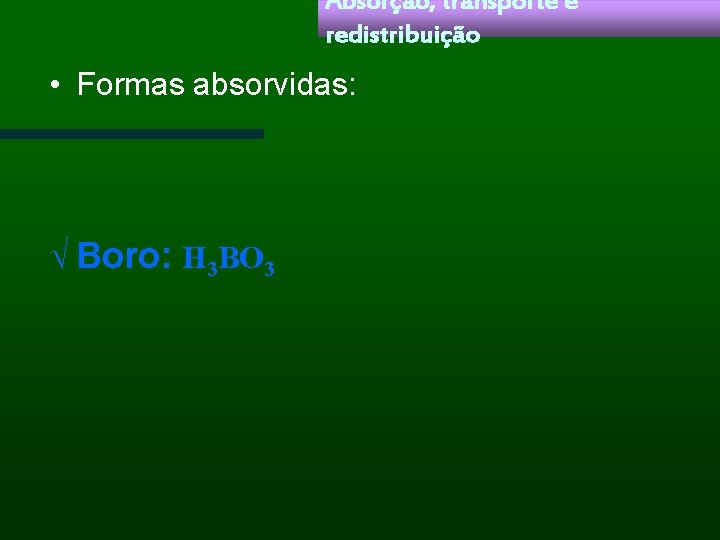 Absorção, transporte e redistribuição • Formas absorvidas: Ö Boro: H 3 BO 3 