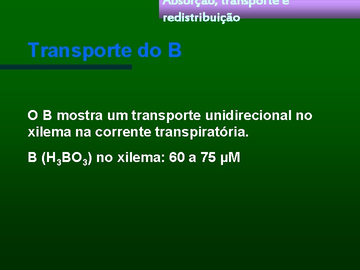 Absorção, transporte e redistribuição Transporte do B O B mostra um transporte unidirecional no