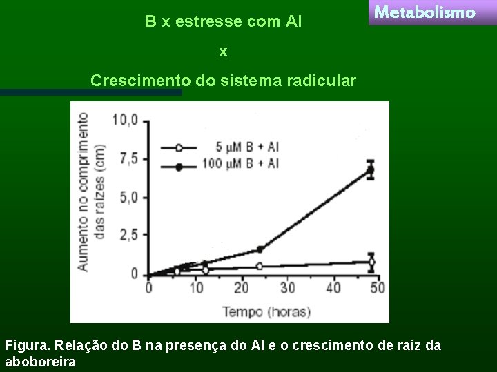 B x estresse com Al Metabolismo x Crescimento do sistema radicular Figura. Relação do