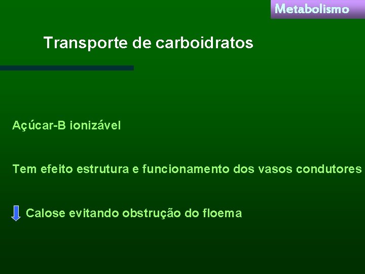 Metabolismo Transporte de carboidratos Açúcar-B ionizável Tem efeito estrutura e funcionamento dos vasos condutores