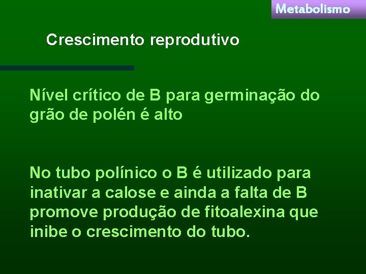 Metabolismo Crescimento reprodutivo Nível crítico de B para germinação do grão de polén é